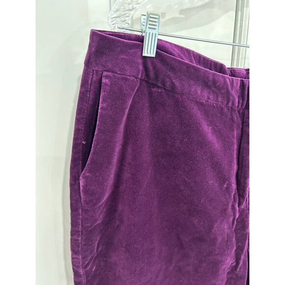 DG2 by Diane Gilman Flat Front Velvet Pants Purple Plus Size 20W Classic NWT - Picture 4 of 10